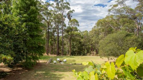 Red Hill South House | Forest Hideaway