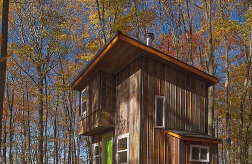 Frontenac Cabin | Forest House: Cozy Cabin in the Woods