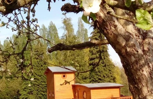 Radon Cottage | Forest Retreat Chalet with Lake Access and Pet-Friendly Amenities