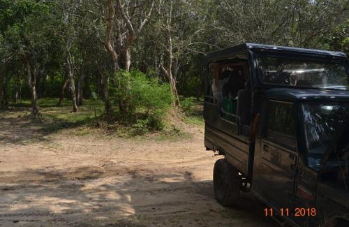 Ranawaranawa House | Forest Thanamalwila
