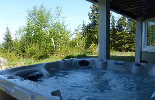 Saint Irenee Ski Chalet | Foresteria, river, mountain and SPA!