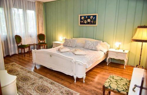 Baile Govora House | Former Ceausescu's Vila Crizantema