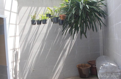 Vung Tau Villa | Forny Rose Homestay No.2