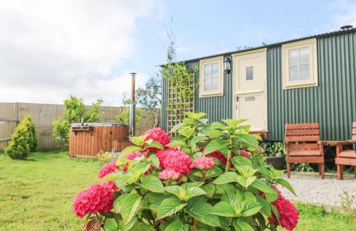 Camborne House | Foxglove