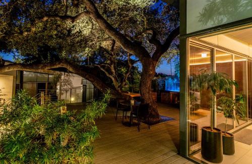 Travis Heights Hotel | Frame Hotel - Treehouse