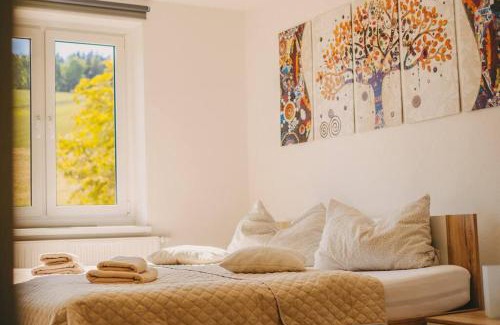 Auerbach-Erzgebirge Apartment | Franzis Feriendomizil im Herzgebirge am Skihang
