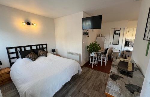 Le Barcares Apartment | Front de mer, appart 2 à 4 pers, parking privé, proche des commerces, Kanumera Barcarès