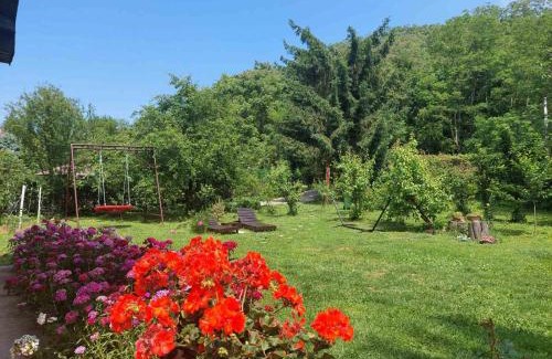 Petrovaradin House | Fruškogorska kuća - Andrevlje lounge, naselje Testera