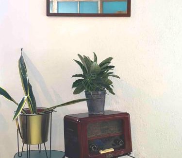 Kropeliner-Tor-Vorstadt Apartment | Fuchsbau In Der Ktv