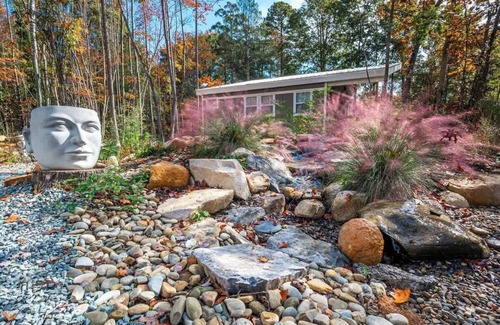 Bynum Cabin | Full Bloom Tree House