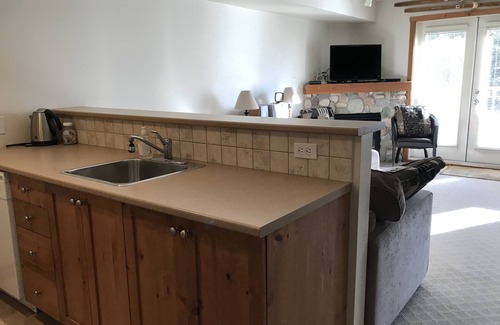 Silver Star Mountain Apartment | Fully Equipped Creekside Studio with Outdoor Shared Hot Tub and Pet Friendly!