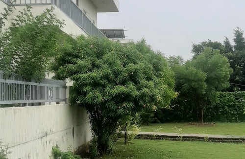 Mohali Villa | Fully Furnished Villa with lawn available for stay & parties/Functions at Mohali