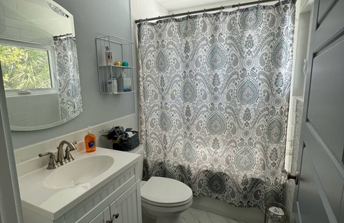 Downtown Zephyrhills House | Fully Remodeled Historic Home, downtown Zephyrhills! Centrally Located!