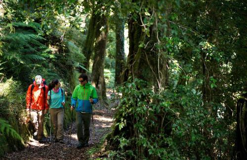 Lago Ranco Hotel | Futangue Hotel & Spa