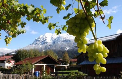 Oberstdorf Apartment | Gästehaus Alpin