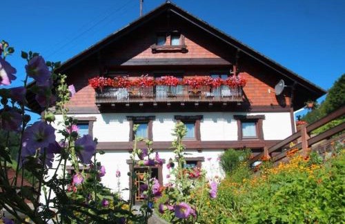 Bad Rippoldsau-Schapbach House | Gästehaus Heimenberg