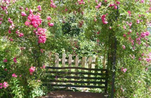 Kirn-Sulzbach Apartment | Gästehaus Rosengarten im Nahetal
