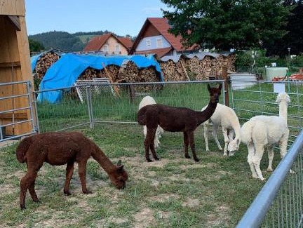Fresing House | Gästehaus Ulbl