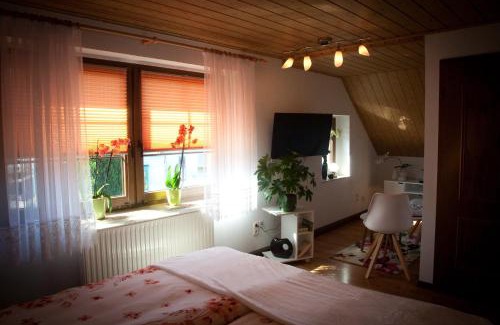 Thum House | Gästezimmer im Grünen Haus