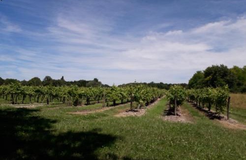 Lagarde-sur-le-Ne House | Gîte 3 La vigne est belle pour 1 à 3 personnes