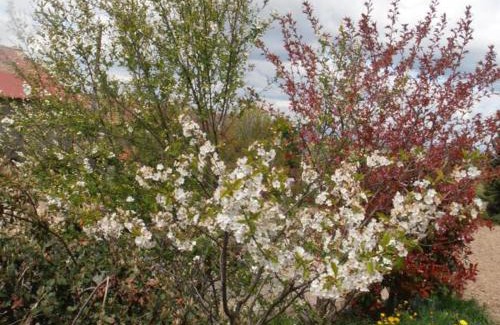 Fontanes House | Gîte confortable 4 épis à Fontanès, 5 pers, Animaux admis - FR-1-496-102