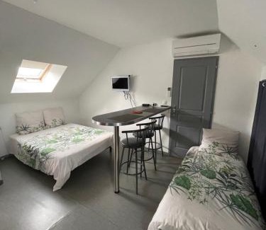La Chapelle-sur-Loire House | Gîte dans le vignoble de Bourgueil