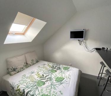 La Chapelle-sur-Loire House | Gîte dans le vignoble de Bourgueil