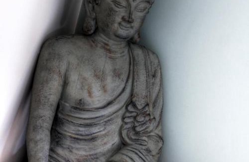 Pinay House | Gîte de charme avec spa, sauna et animaux admis - FR-1-496-274