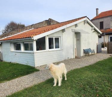 Saint-Vivien-de-Medoc House | Gîte des pins