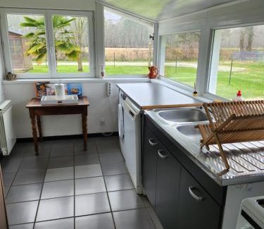 Saint-Vivien-de-Medoc House | Gîte des pins