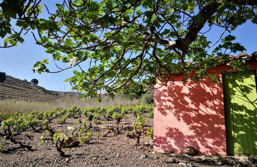 Sorede House | Gîte du Couchant of 70 m2