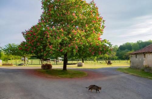 Doix-les-Fontaines House | Gîte Les Bougrines - Marais