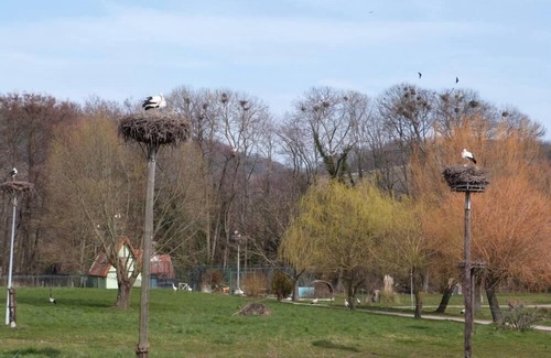 Wuenheim House | Gîte "Les Ecureuils"