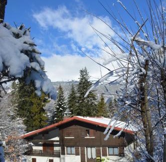 Les Houches Apartment | Gîte Montvauthier