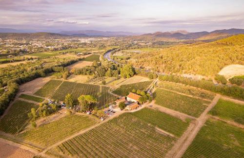 Les Arcs-sur-Argens Apartment | Gîte Vert d'olive au milieu des vignes - Château Les Apiès