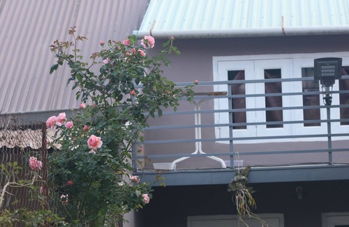 Da Lat Apartment | Gaming: PS4 pro, computer , nitendo. Coffee shop bar and breakfast . Rose garden