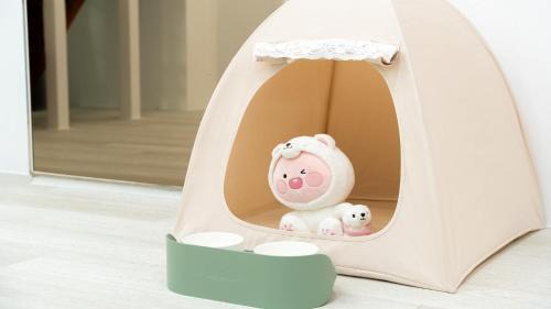 Gapyeong House | Gapyeong Daengdaengi Dog Pension Silver