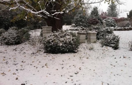 Fairview Cottage | Garden Cottage near Asheville and Blue Ridge Parkway