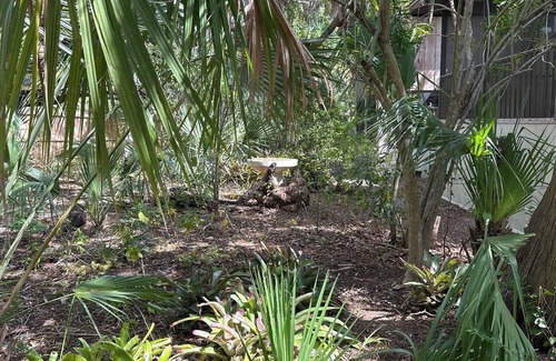 Siesta Key House | Garden House on Siesta Key - a tranquil 3-bedroom house with AC