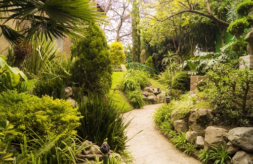 Guadalupe Inn House | GARDEN HOUSE, WELCOME TO SAN ANGEL NEIGHBOURHOOD