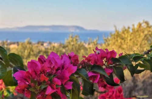 Vathianos Kampos Apartment | Garden Rooms Roboboss Margaret