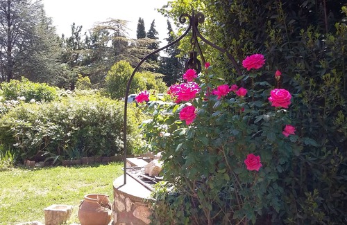 Aix-en-Provence Apartment | Garden view apartment