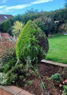 Malborough Apartment | Garden View Apartment