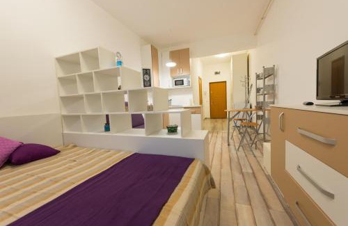Satu Mare Apartment | Garsoniere Central
