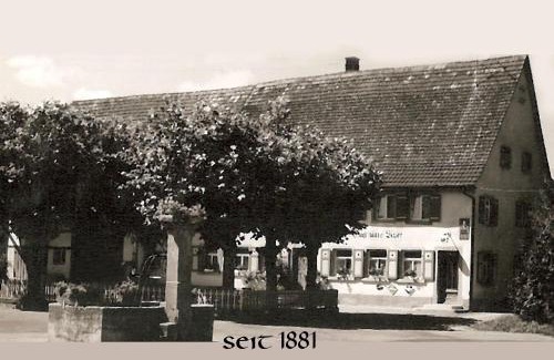 Iznang Hotel | Gasthaus Seehof