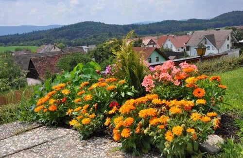 Radolfzell am Bodensee Hotel | Gasthof Adler Güttingen
