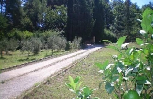 Grand Sud Apartment | gd appart quiet ground floor, parking, countryside 5 km AiX in Provence