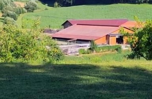 Grafenau Apartment | Gemütliche Bauernhof Ferienwohnung im Bayerischen Wald mit zwei Schlafzimmern