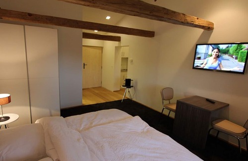 Bad Birnbach Apartment | Gemütliches 29qm Appartement mit Südbalkon