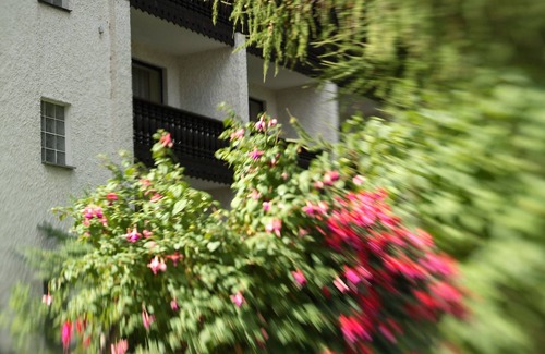 Bad Alexandersbad Apartment | Gemütliches Appartement mit Kaminofen in der 2. Etage